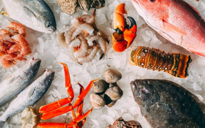Vessel Food Safety & Handling